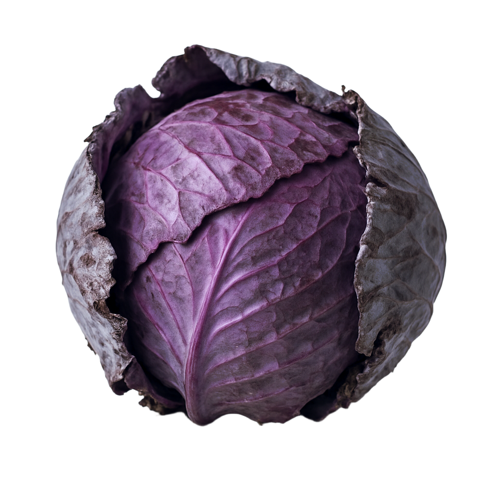 Repollo Morado - Ríe La Huerta