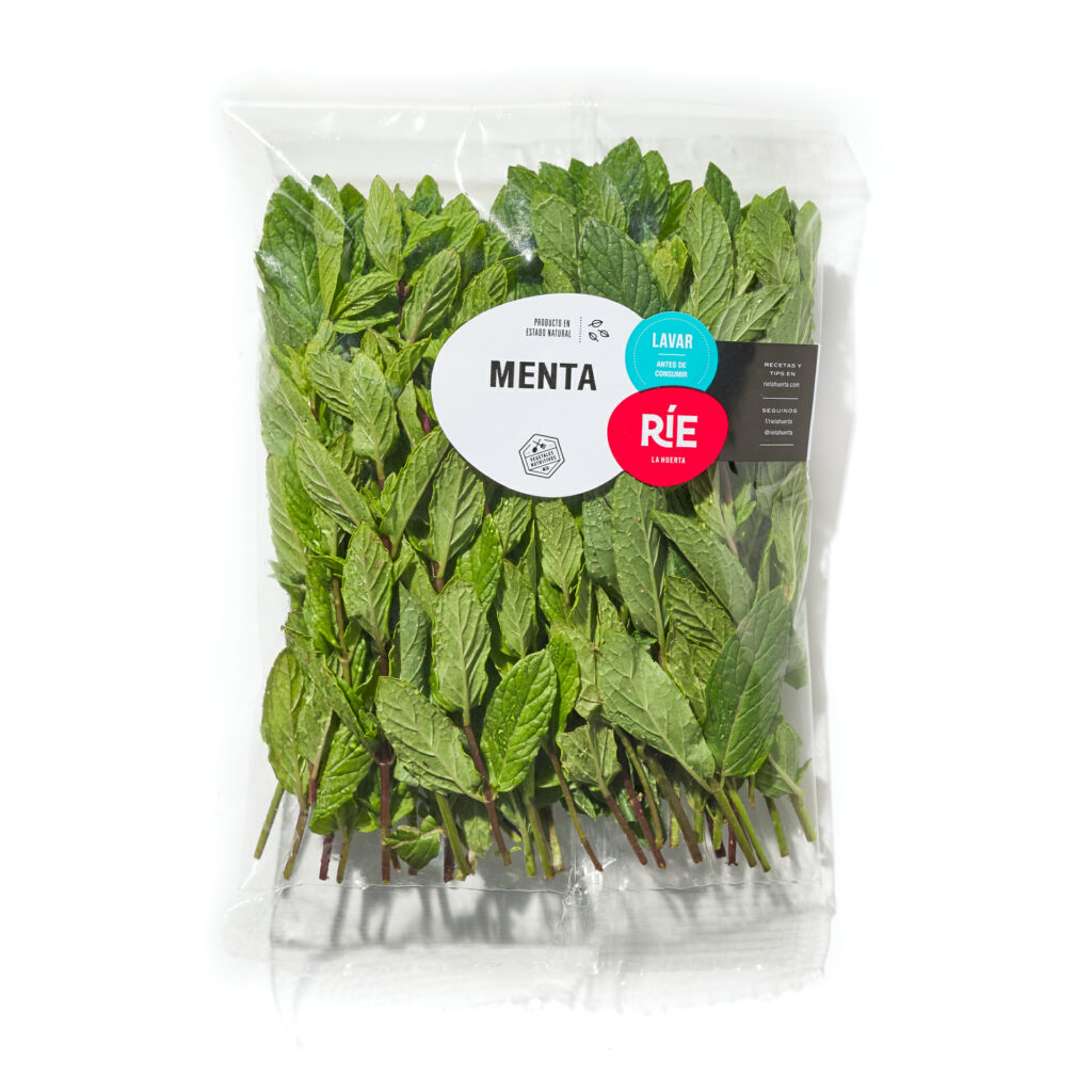 Menta