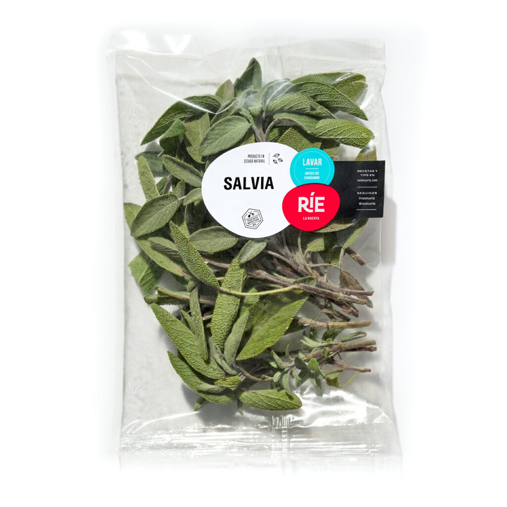Salvia