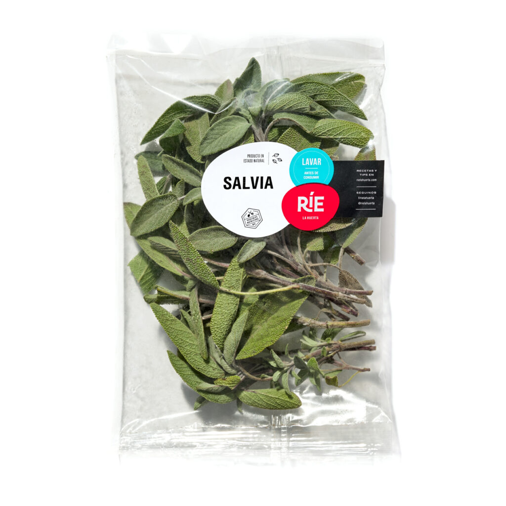 Salvia